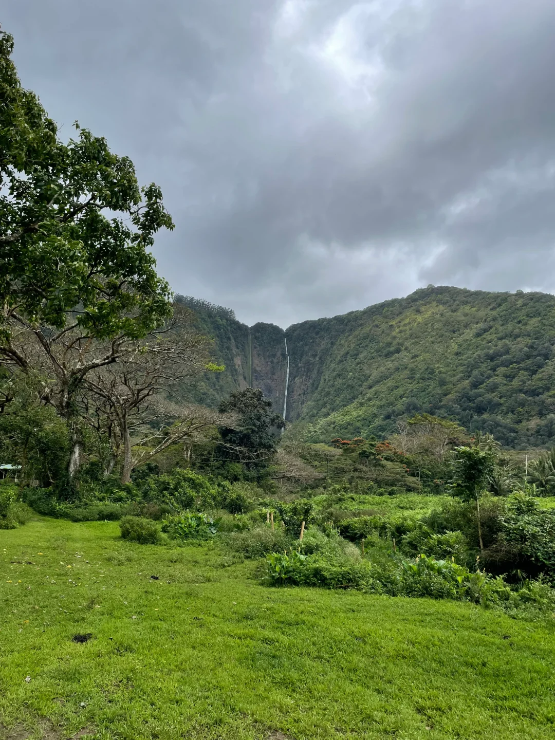 Hawaii | Big Island Day 3: Waipio Valley