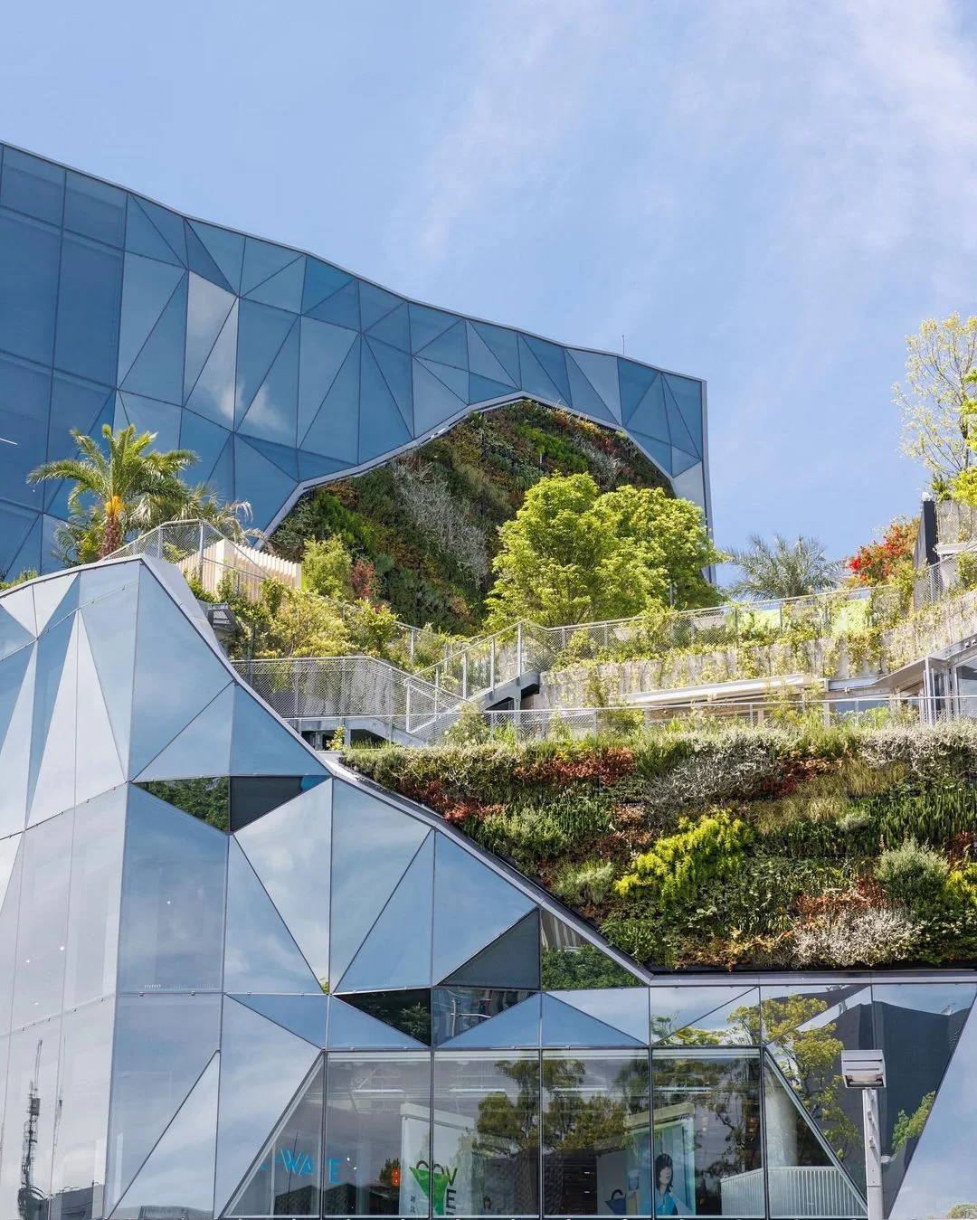 Tokyo Omotesando | A Pilgrimage for Architecture Enthusiasts