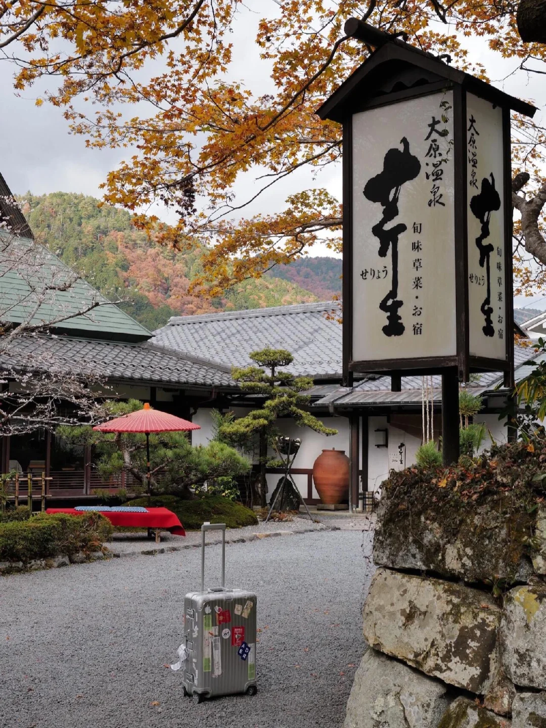 Visited Kyoto 6 Times! Found My Dream Stay 🏡