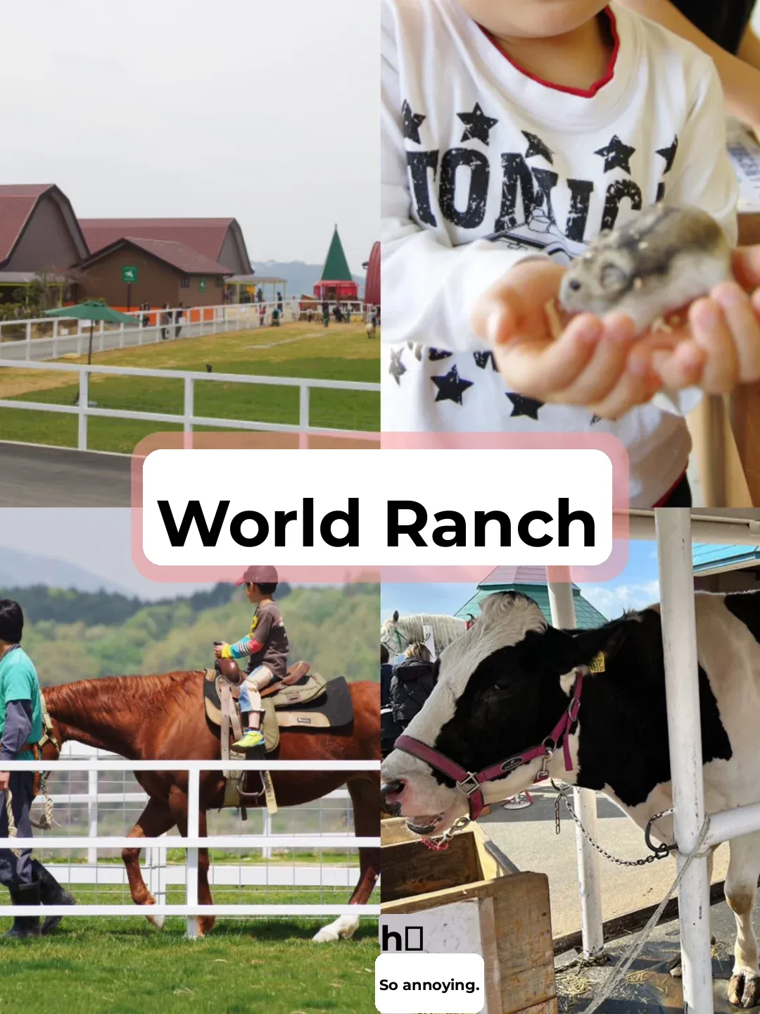 Summer Family Fun Guide in Osaka, Japan | Learn While You Play 🇯🇵