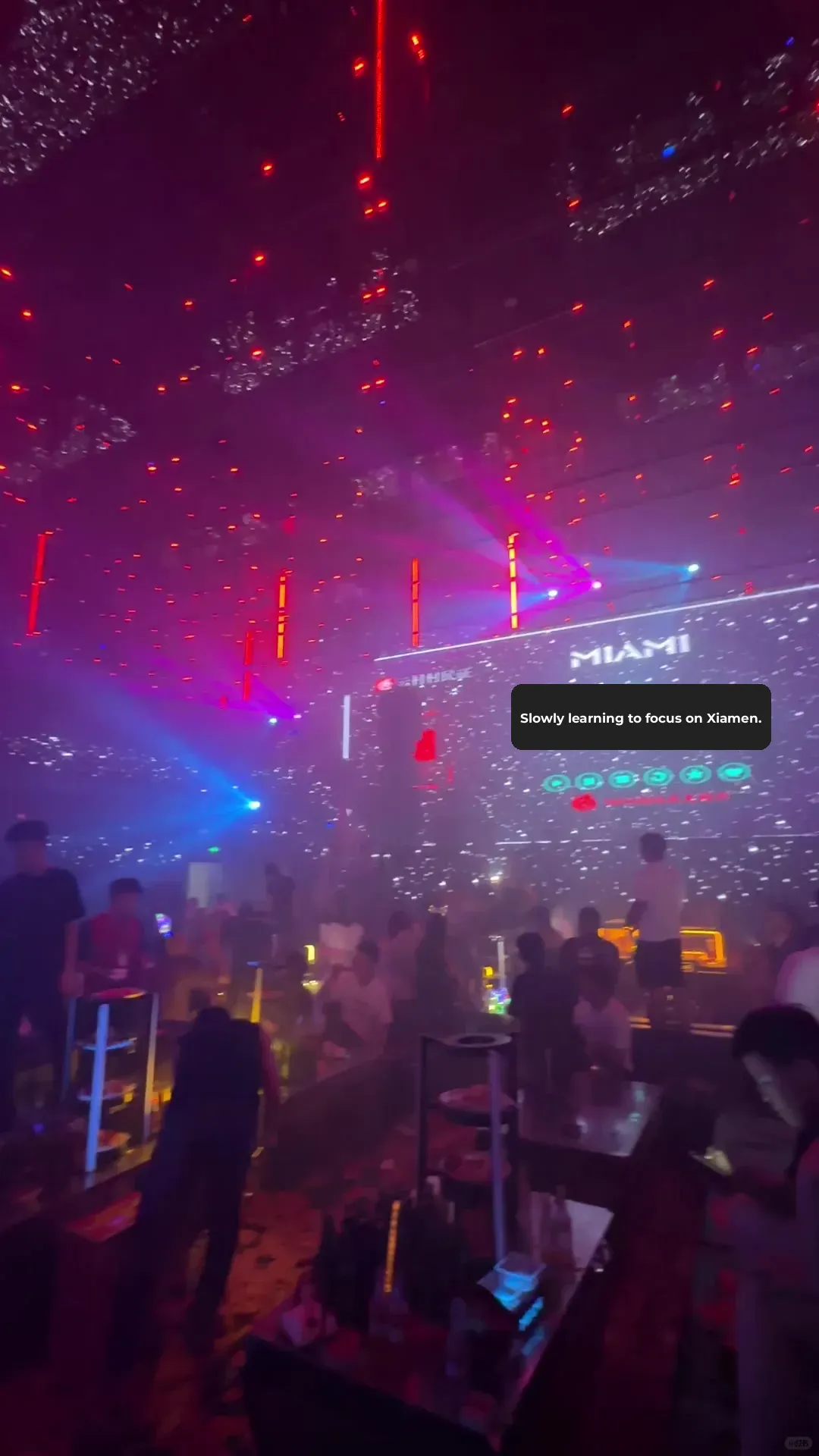 Miami Bars: Endless Fun