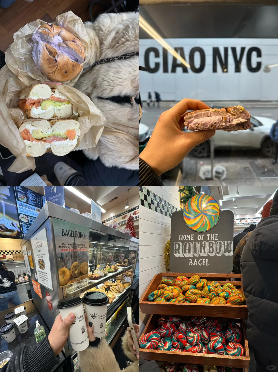 New York, New York: The Bagel Chronicles 🥯