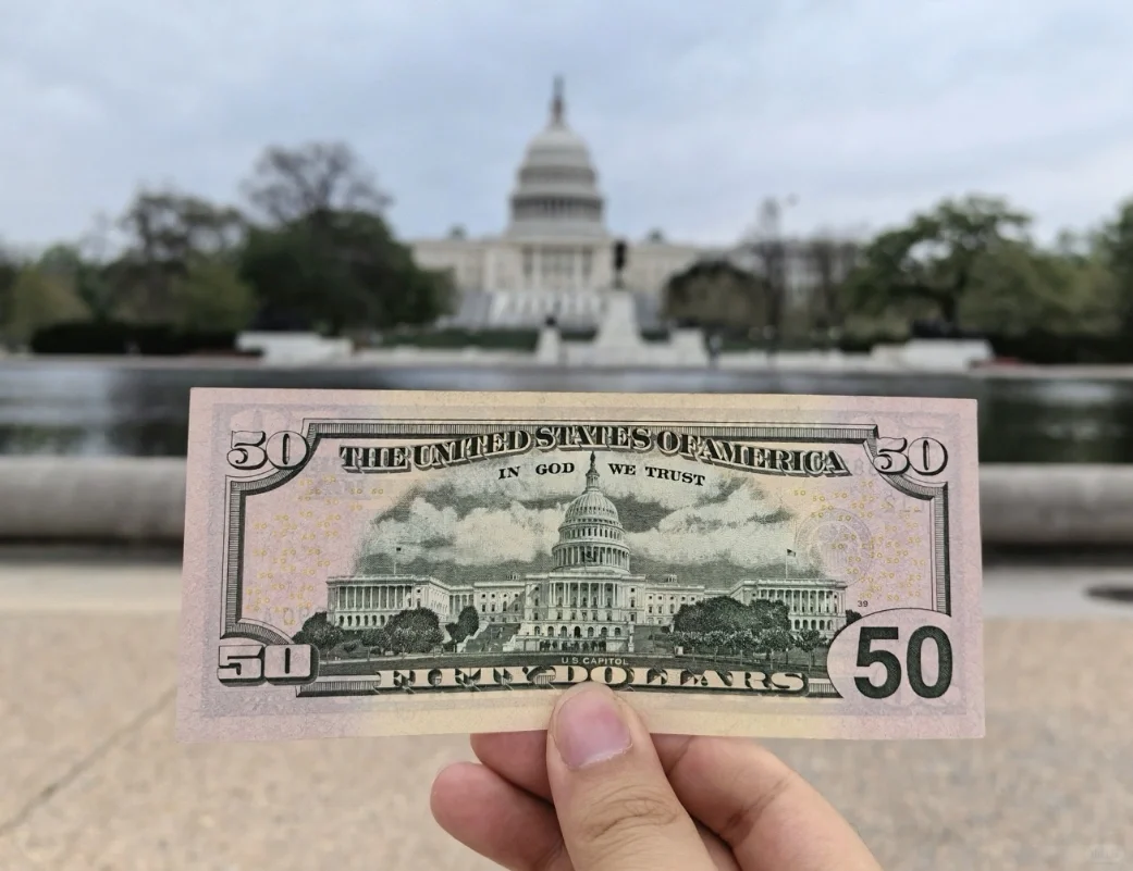 All I Came to Washington to Do