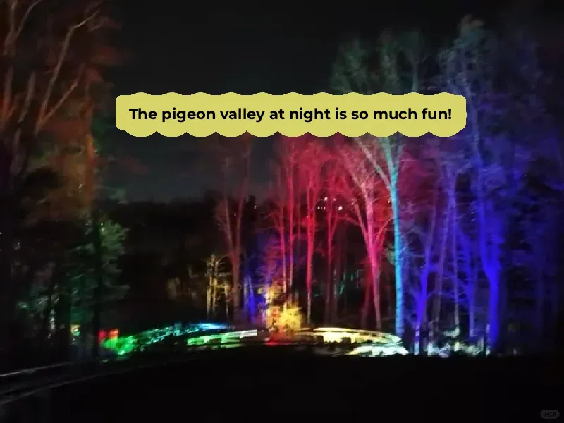Great Smoky Mountains Pigeon Forge: Riding Roller Coasters Under Dazzling Night Lights