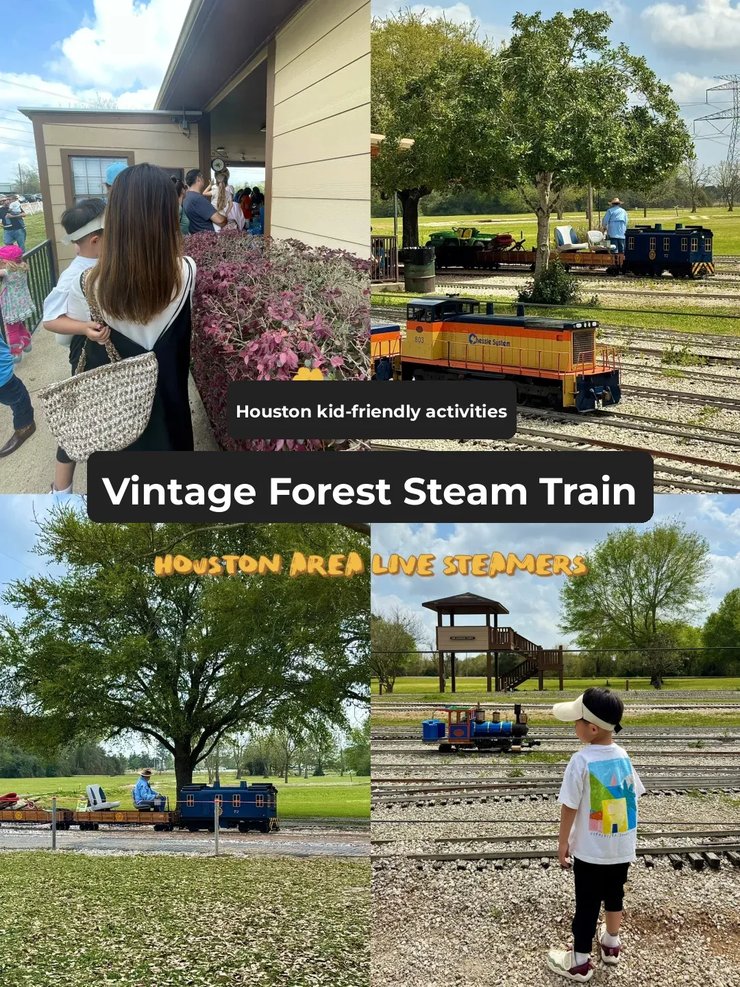 Houston｜Limited-Time Opening—Hop on the Forest Steam Train Now!