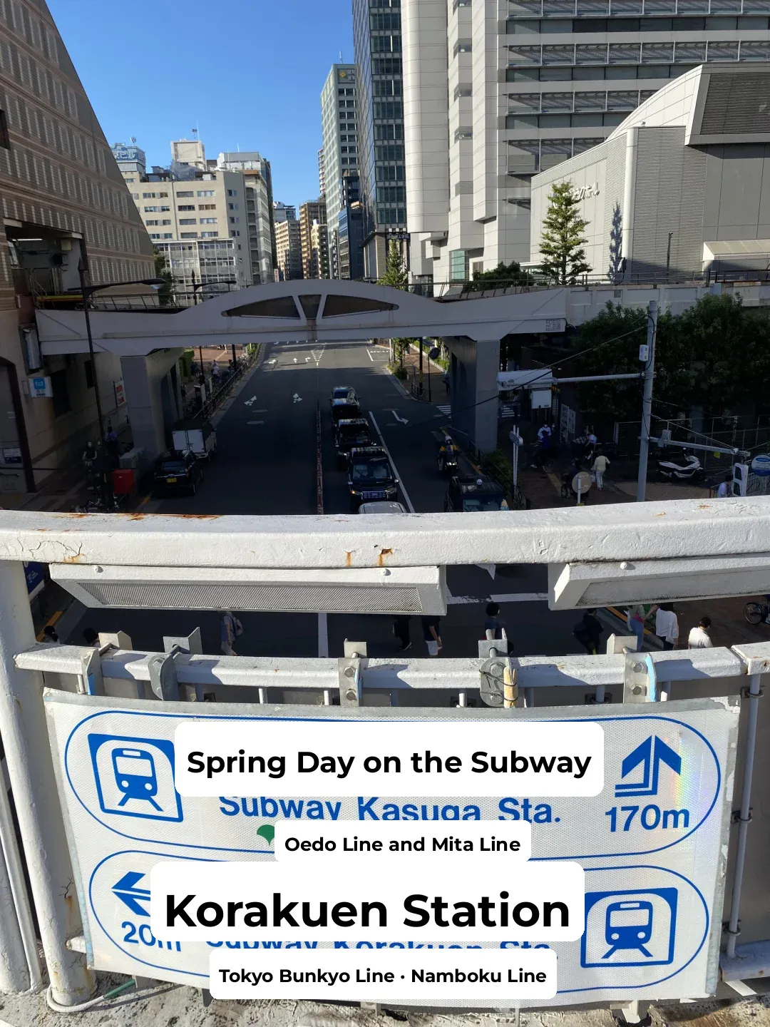 Tokyo's Bunkyo Ward: Houkago-en is a Hidden Gem