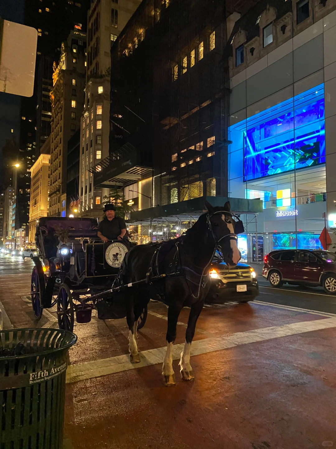 Midnight Carriage Ride on NYC's Fifth Ave.
