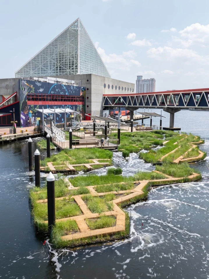 Sustainable Floating Wetlands | Case Study