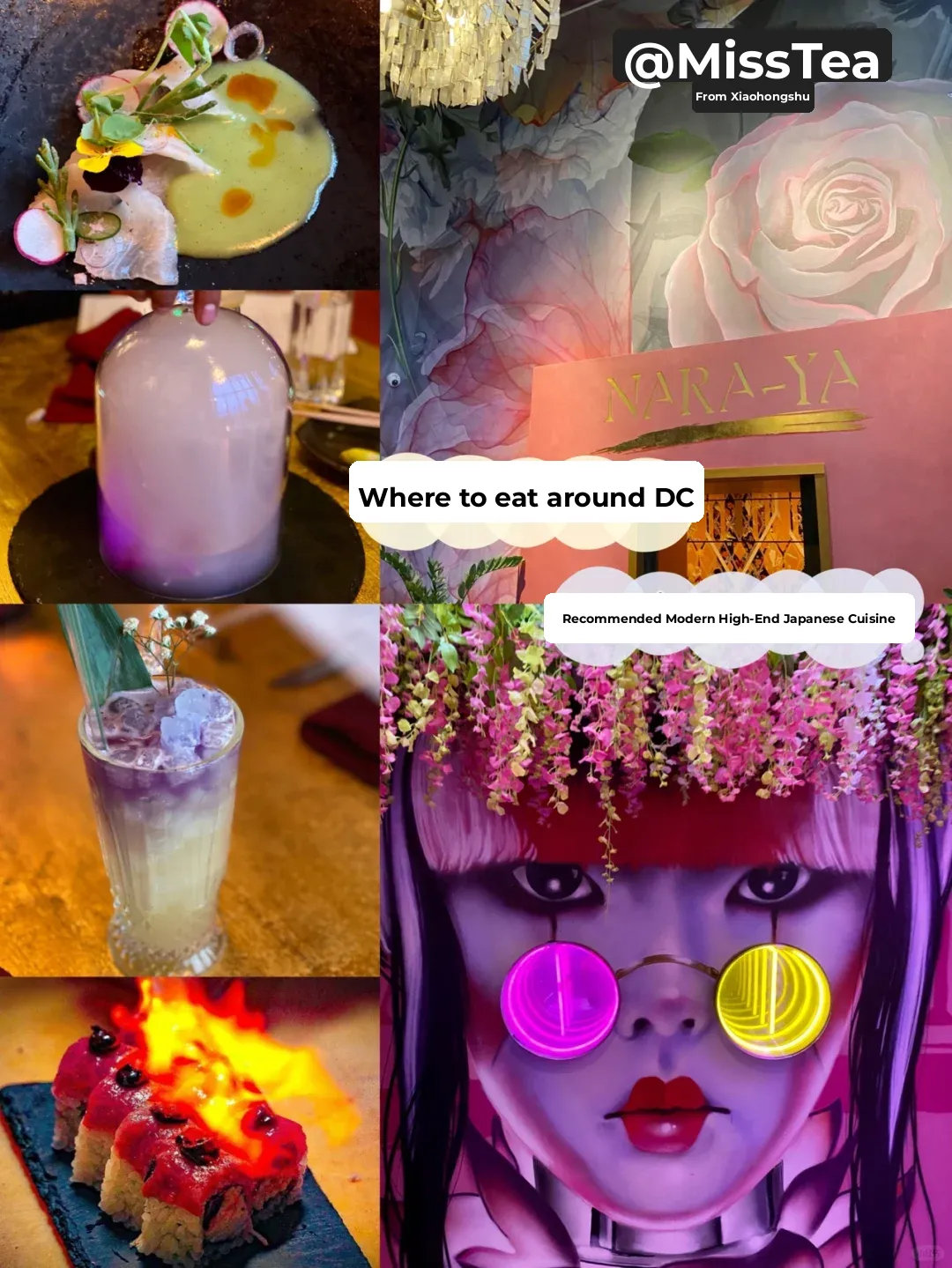 The Most Stunning Sushi Restaurant in Washington DC 🍣🍣 No Arguments Allowed