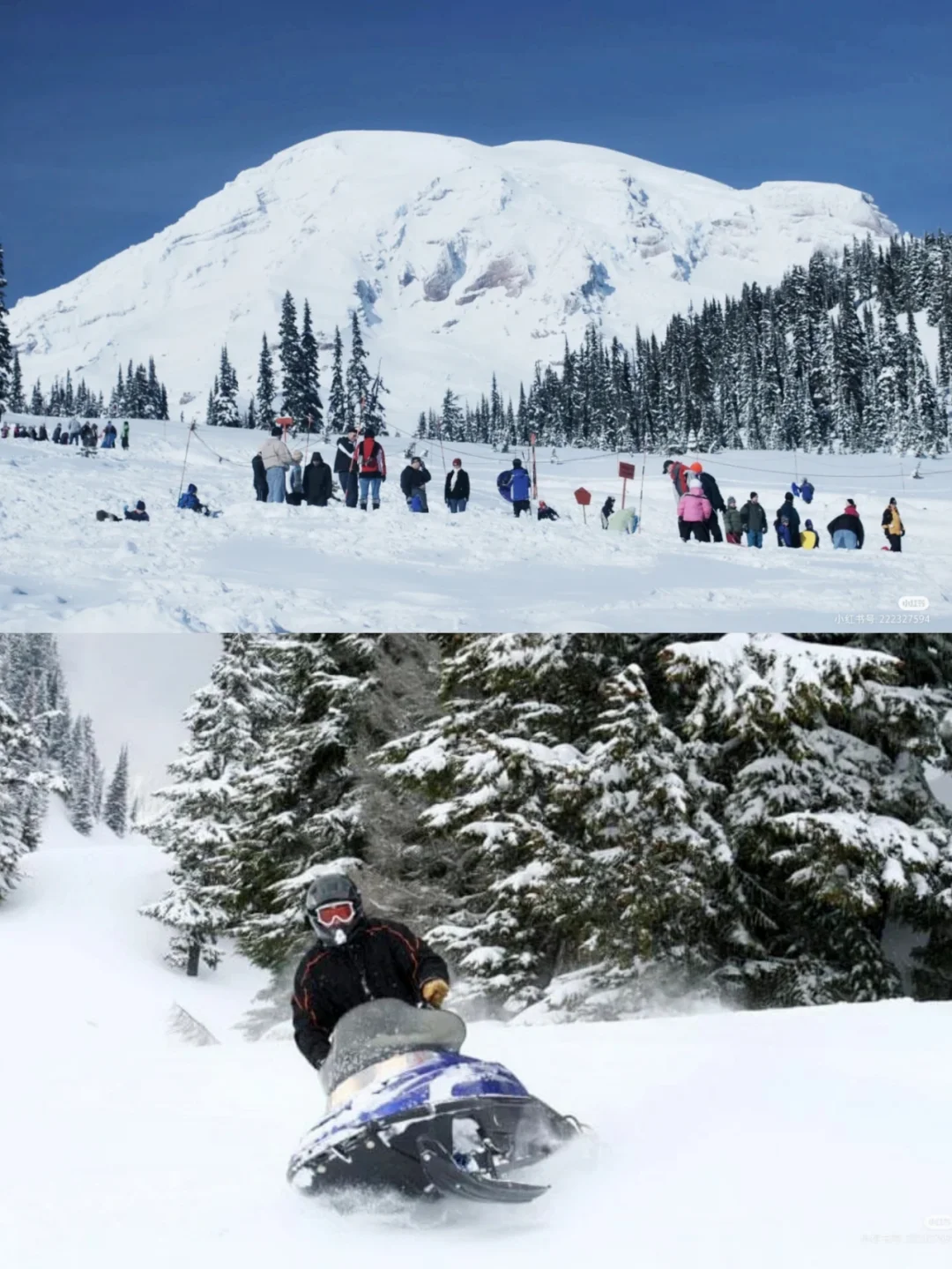 Can't Wait! Seattle's Must-Visit Spots for Winter Fun 😎