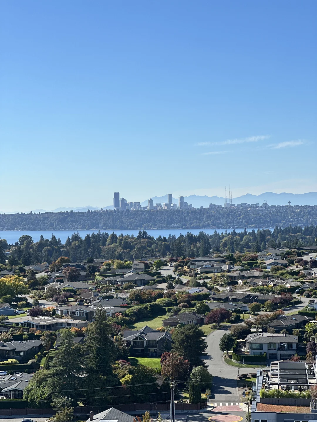 Looking for a female travel buddy in Seattle