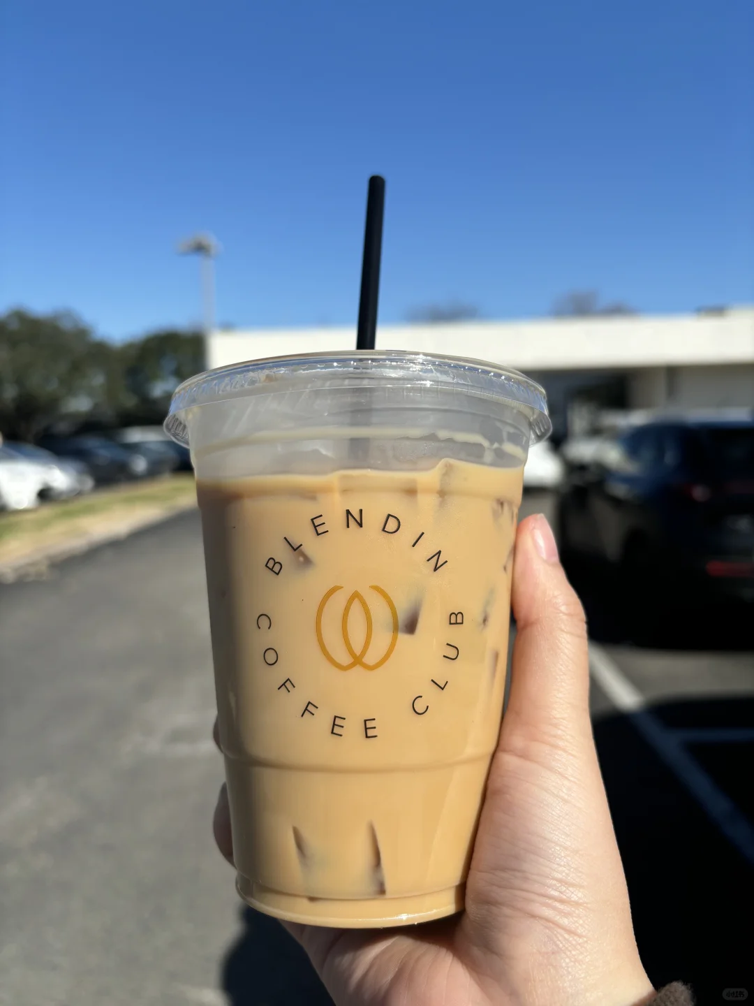 Houston Food and Travel Recommendations