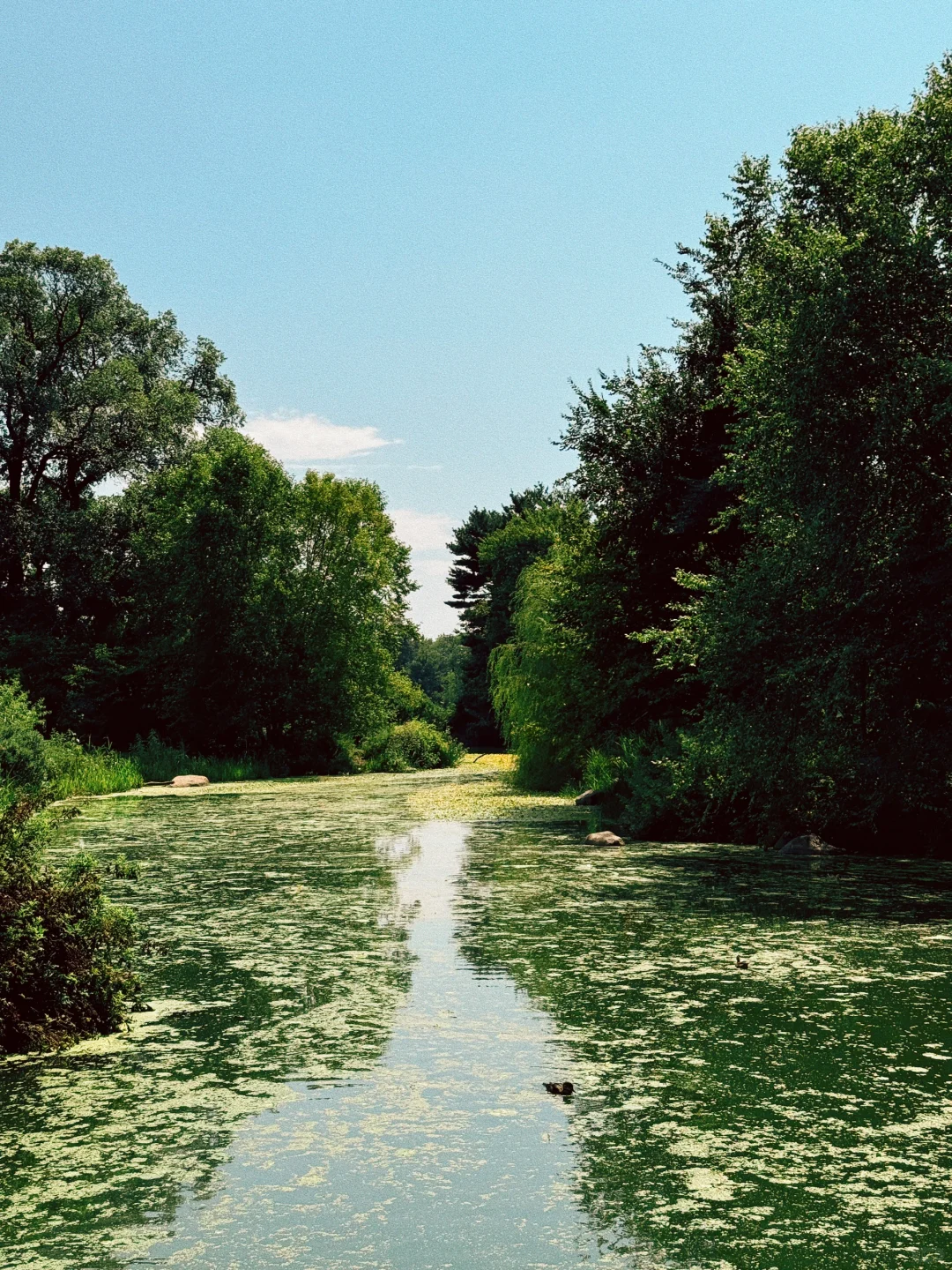 Unbelievable, This Is Downtown NYC!