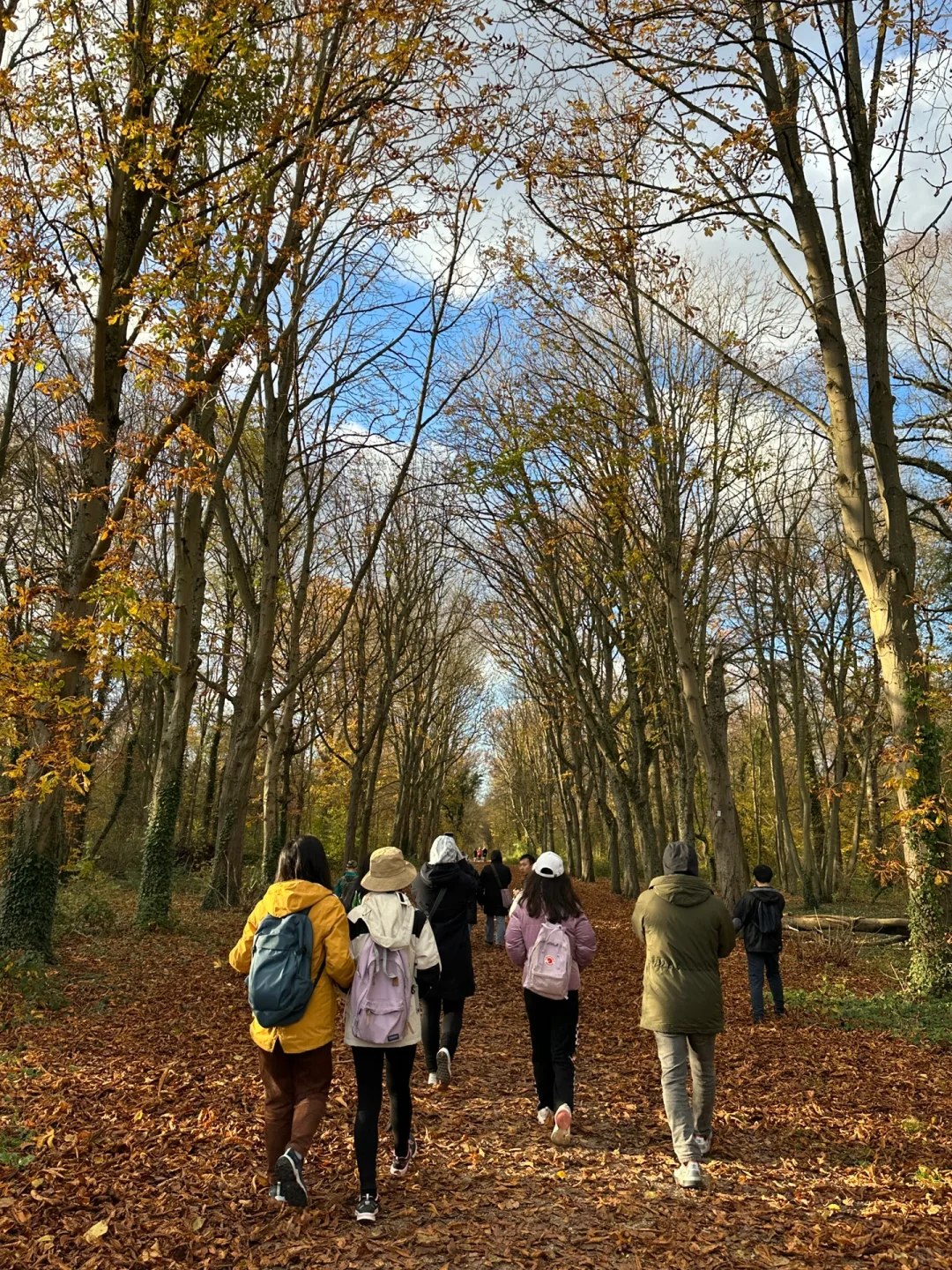 Paris Weekend Getaway | RER Direct | Saint-Germain Forest Autumn Hike