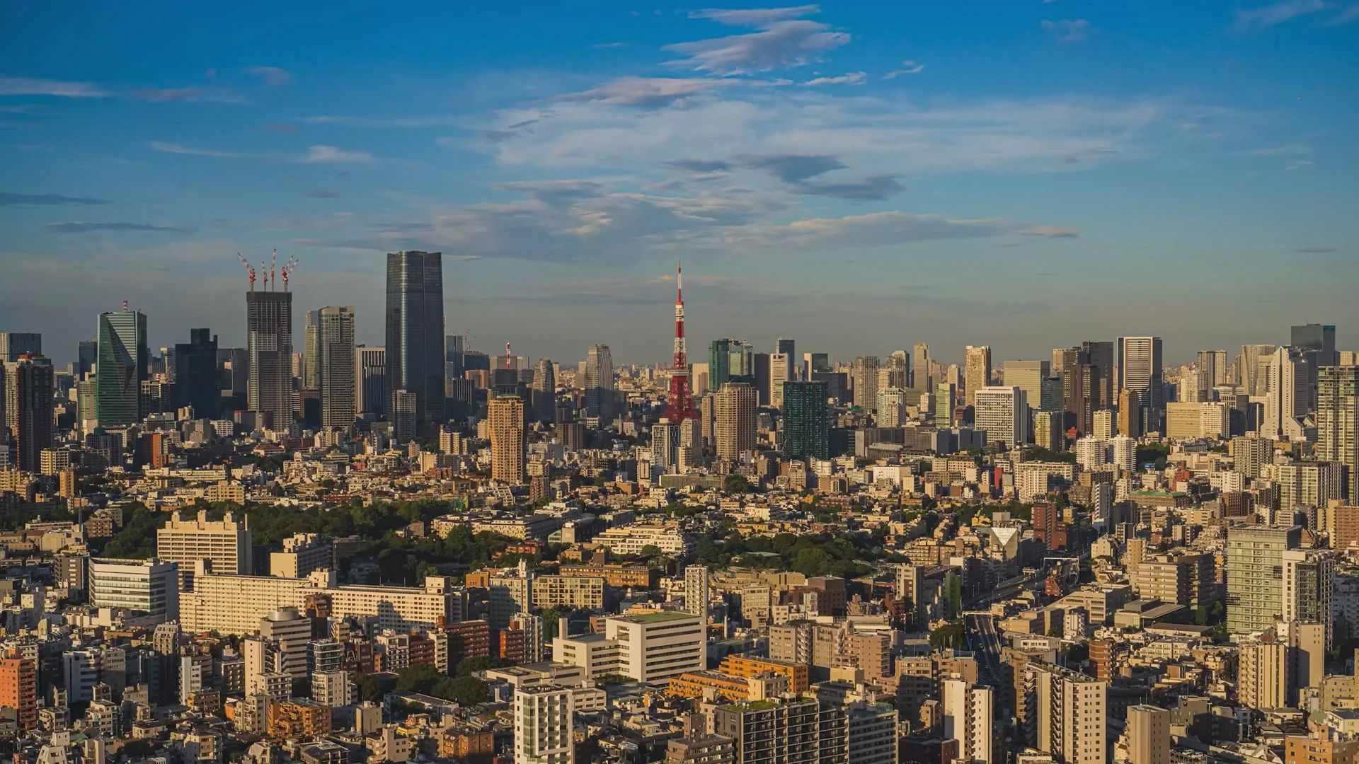 Tokyo Time-Lapse | Shibuya Garden Plaza
