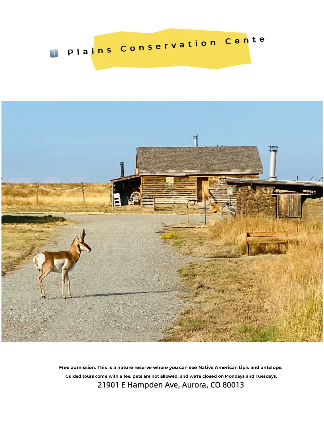 Take Your Little Ones to These 8 Charming Farms in Denver