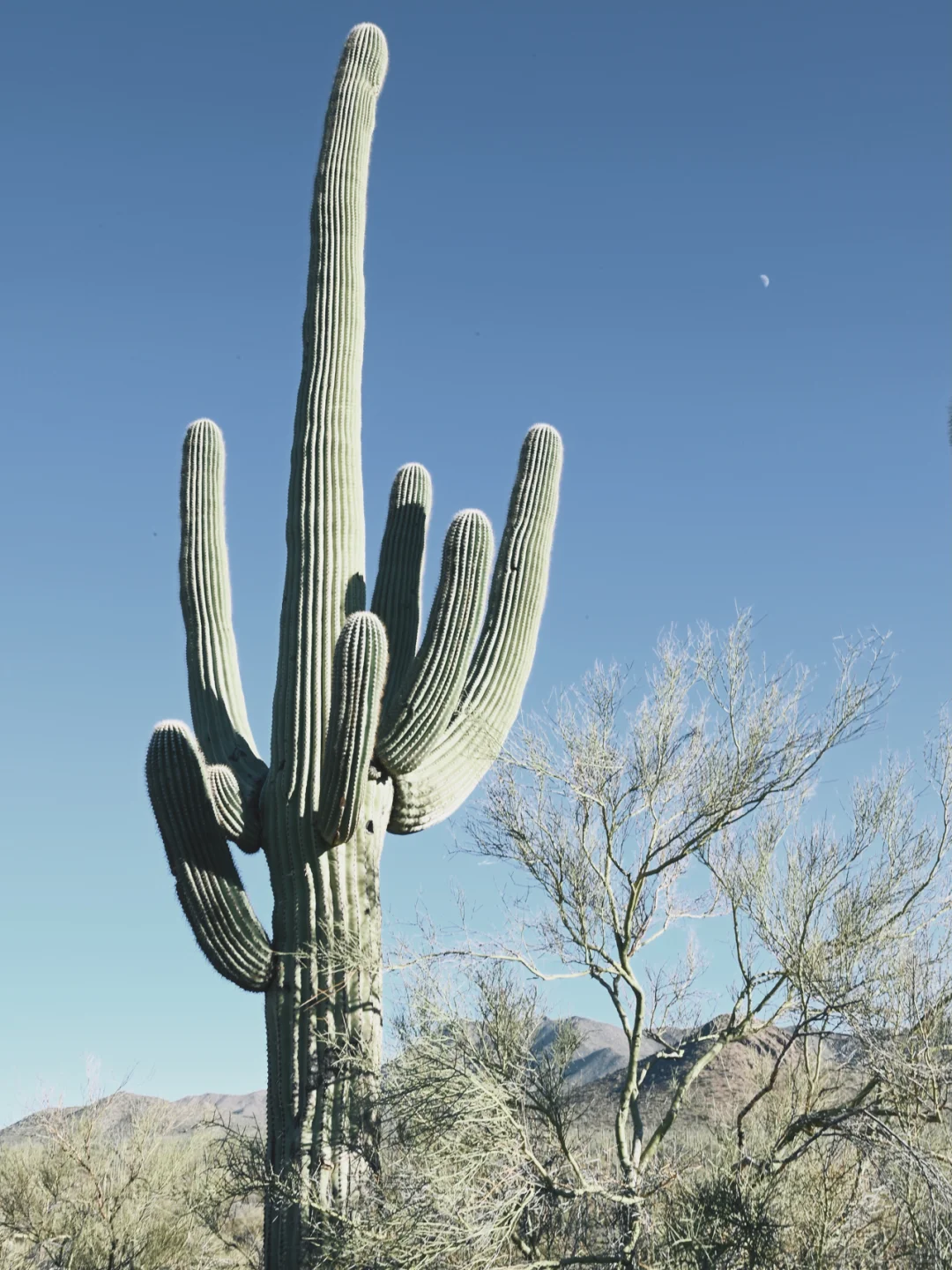 2020 Christmas New Mexico & Arizona Road Trip