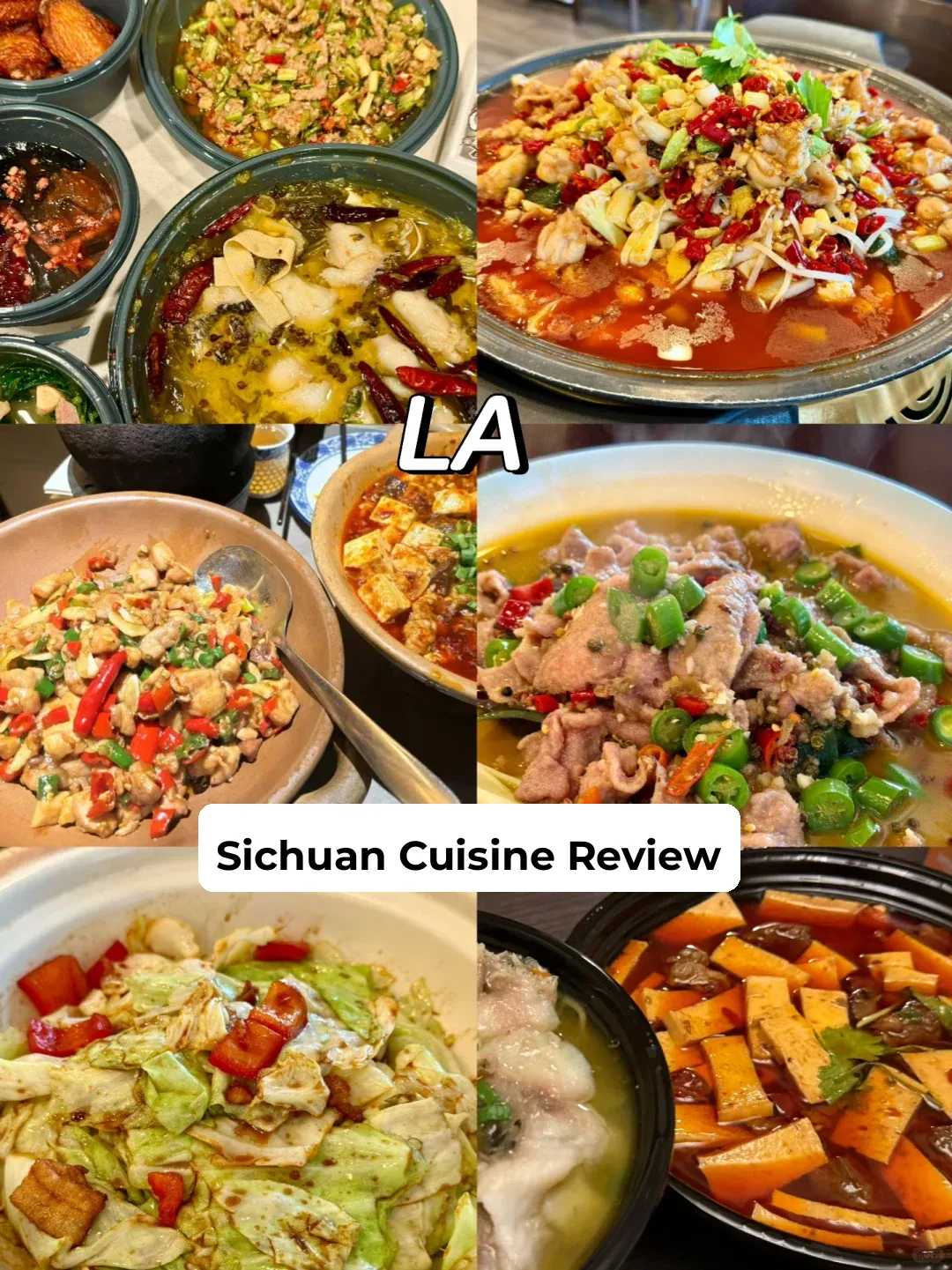 Los Angeles | Review of 7 Sichuan Restaurants 🍚