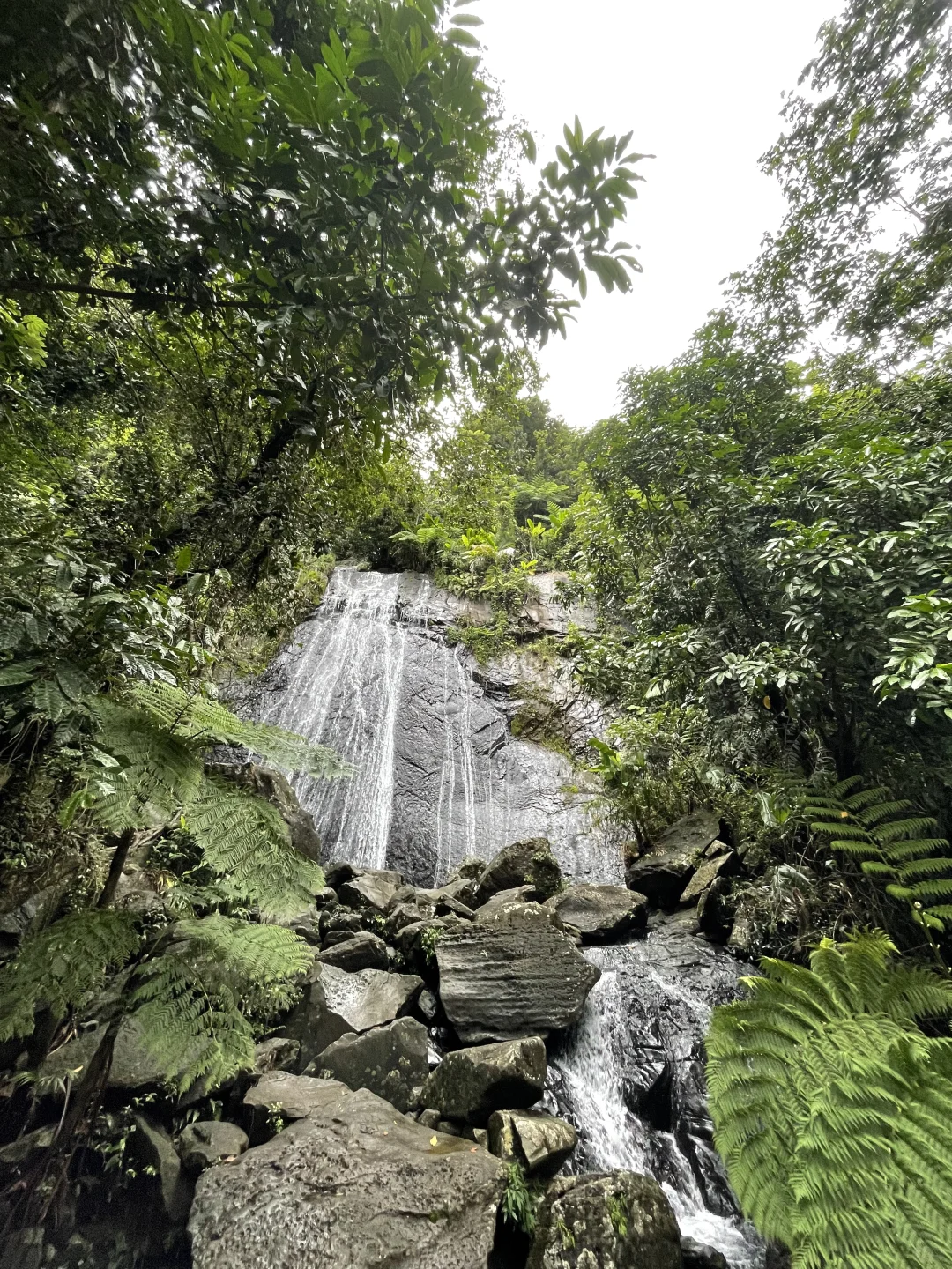 Christmas in Puerto Rico 🇵🇷