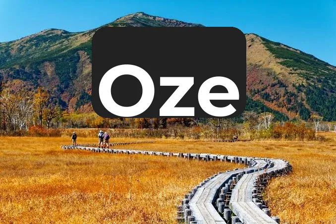 10.20 🍁 Hiking "Aoiro" in the Autumn Foliage Season! Calling All Adventurers!