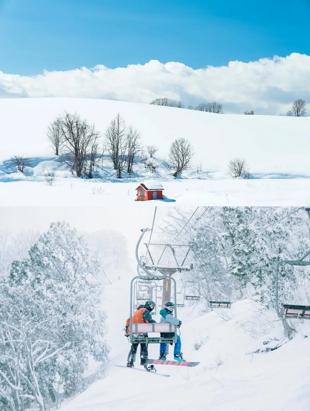 Offbeat Tokyo Getaway | Essential Nagano Winter Travel Guide