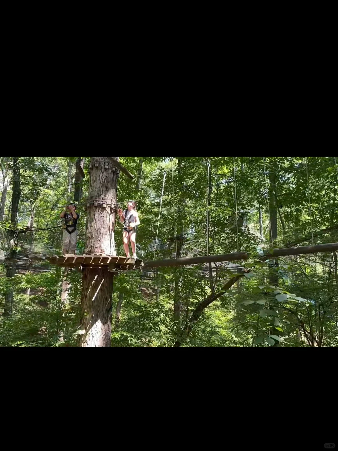 Atlanta's Treetop Quest Adventure