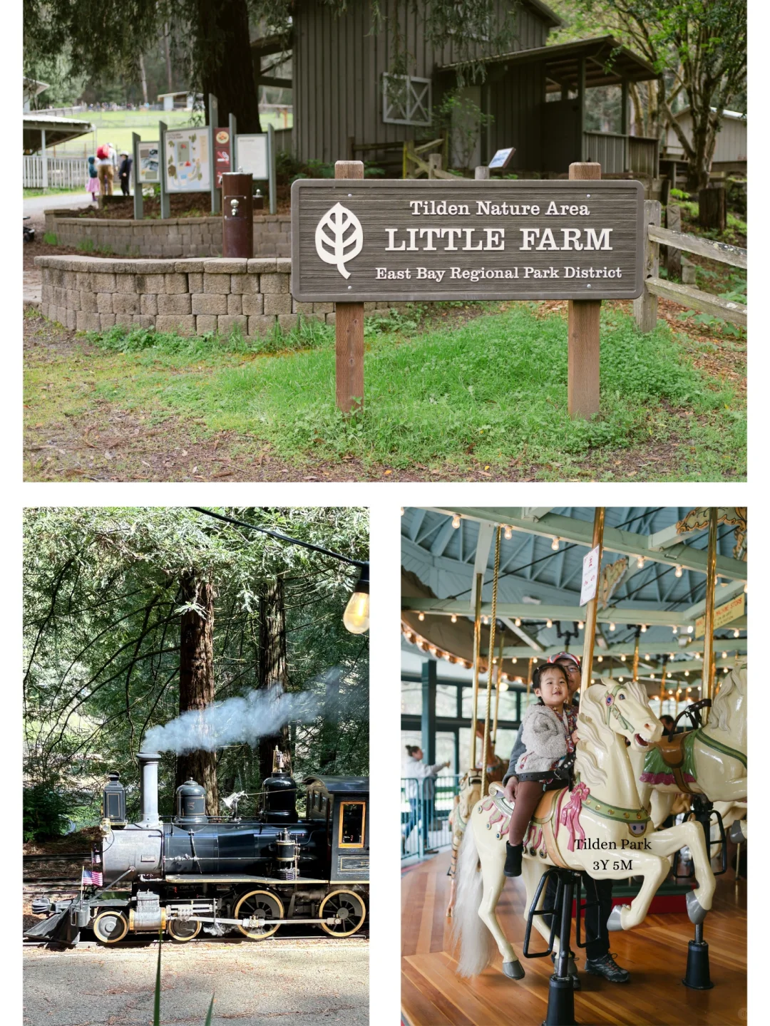 Bay Area Family Fun | Ultimate Hidden Gem: Tilden Park Day Trip