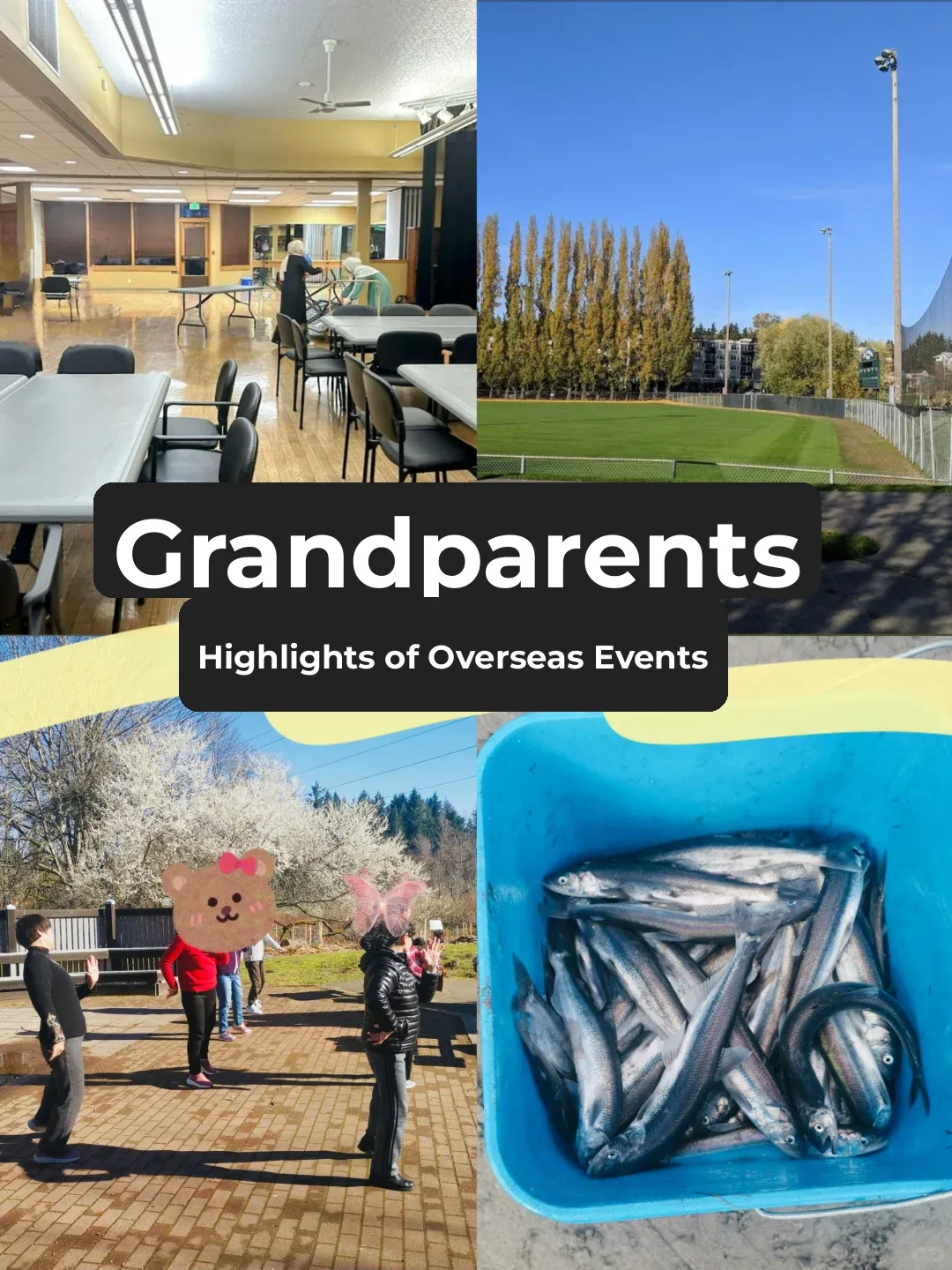 Seattle Life | Weekly Social Activities Roundup for the Elders 💃