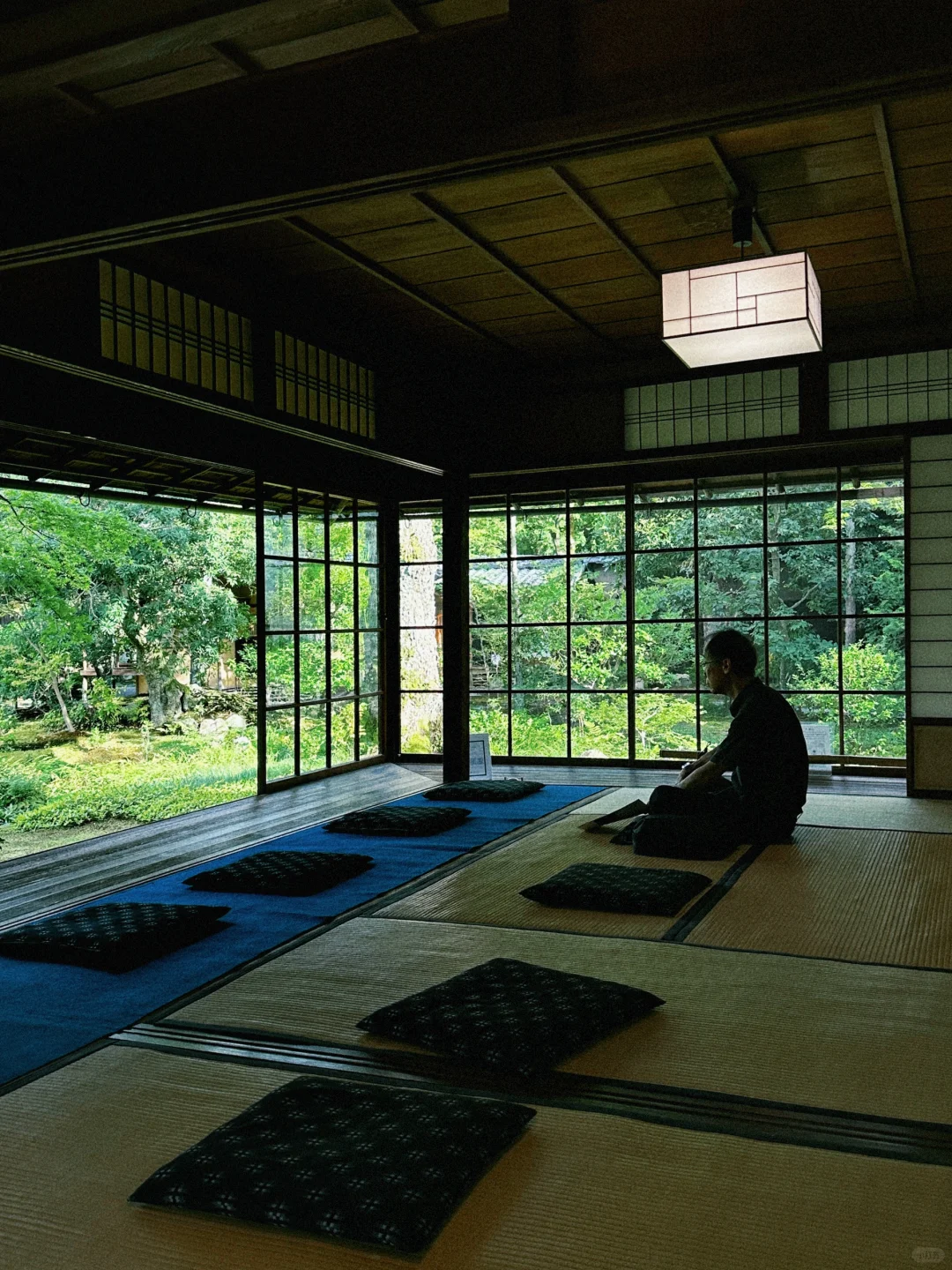 🍃 First Time in Kyoto: The Ultimate City Walk Itinerary