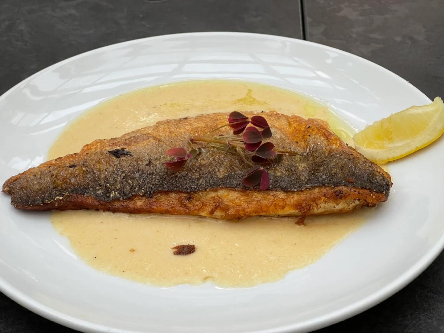 Chicago and North Suburb Winnetka: Greek Dining at Avli