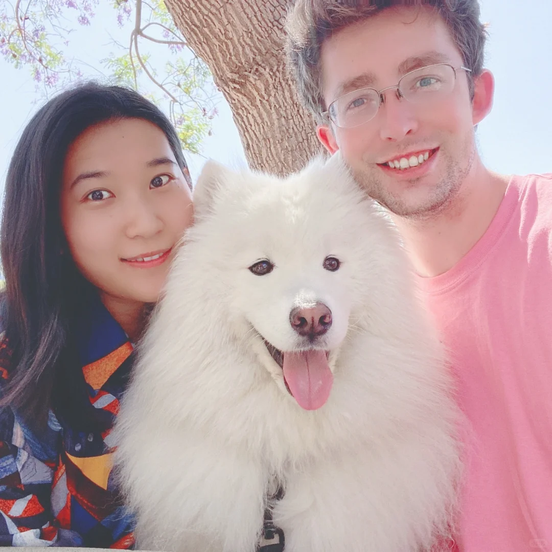 San Diego | Love Curry Rice? Check Out This Indian Restaurant