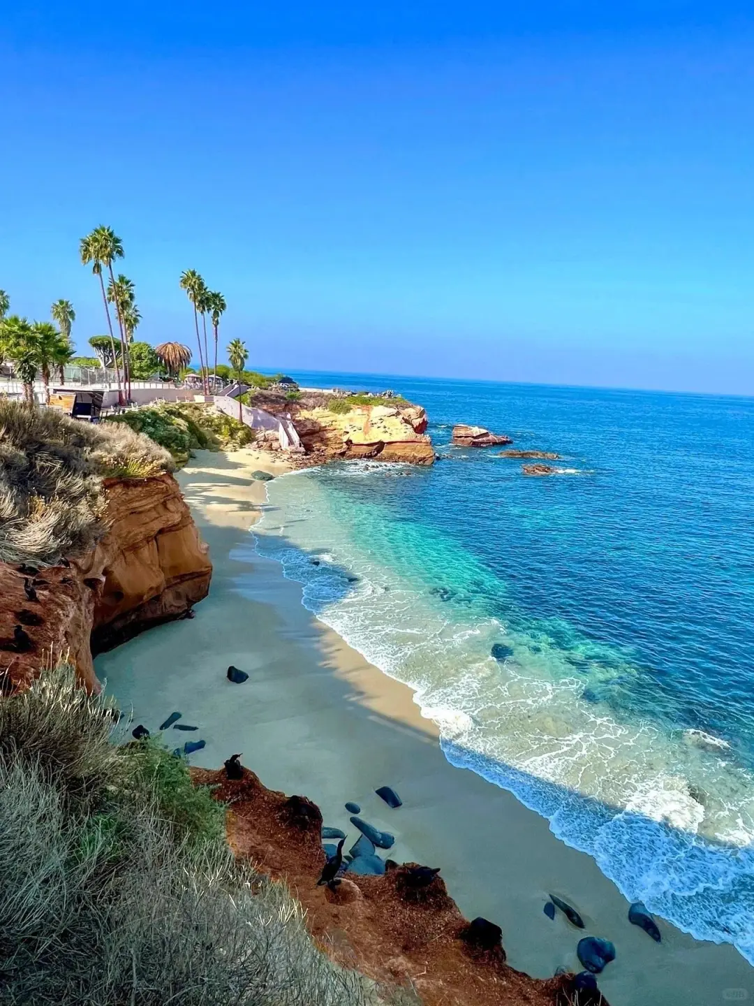 Sincere Recommendation🥰 Must-Visit Hidden Gems in San Diego!