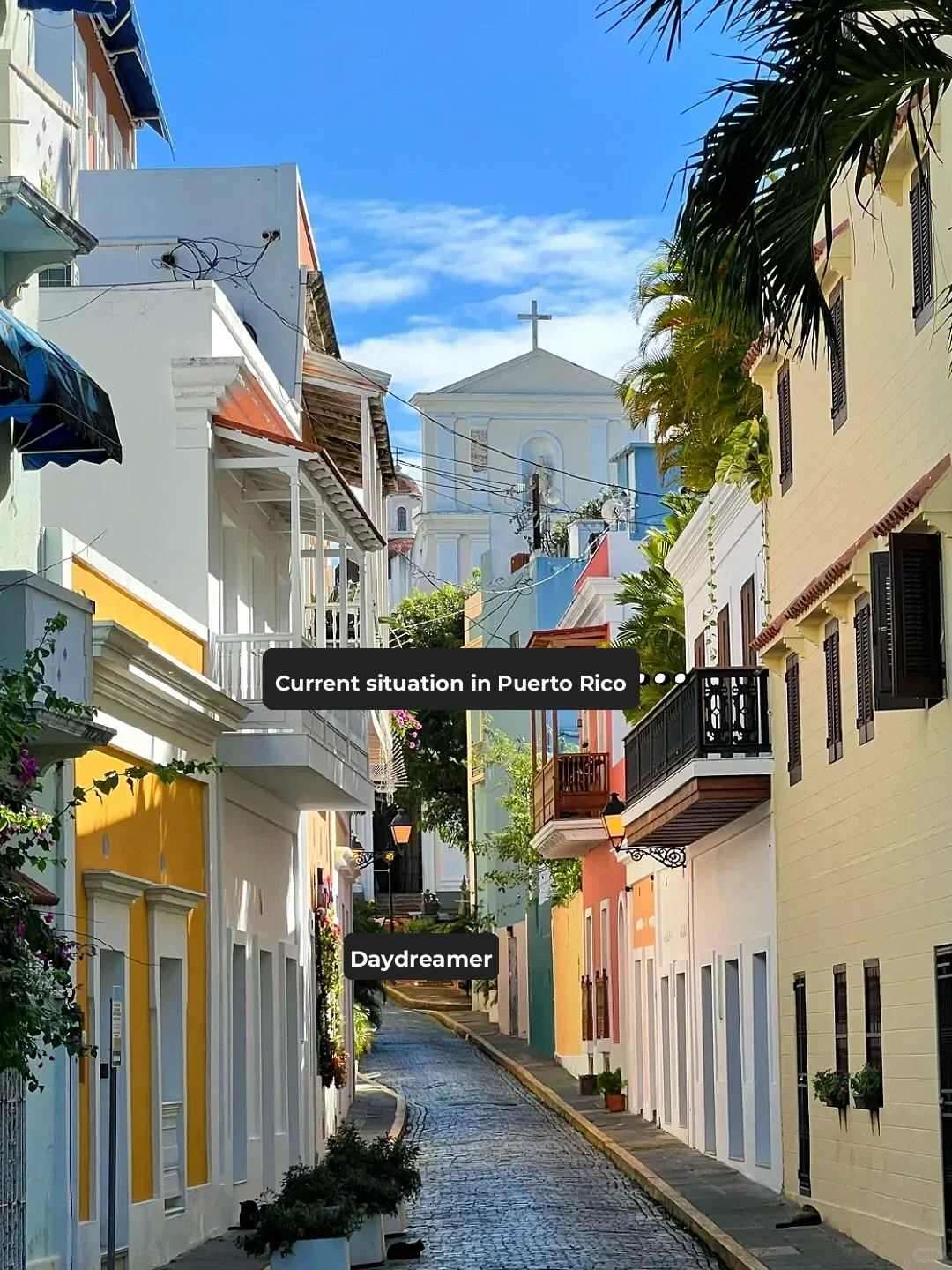 Latest Update on Puerto Rico! 😭😭 Hotel Prices Have Plummeted Like Crazy!