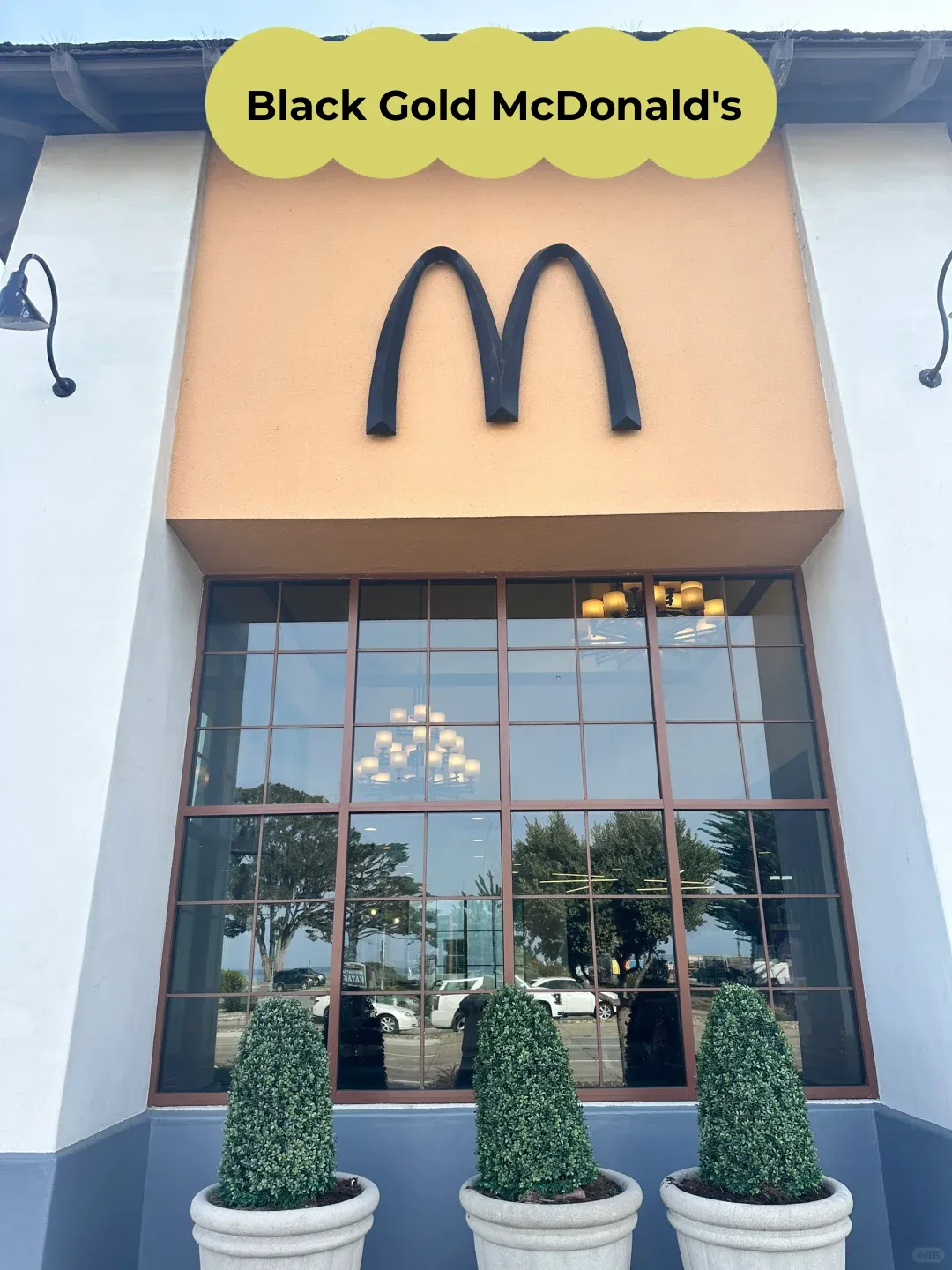 Bay Area｜Ultimate Guide! Monterey Day Trip Itinerary – Just Copy & Go!