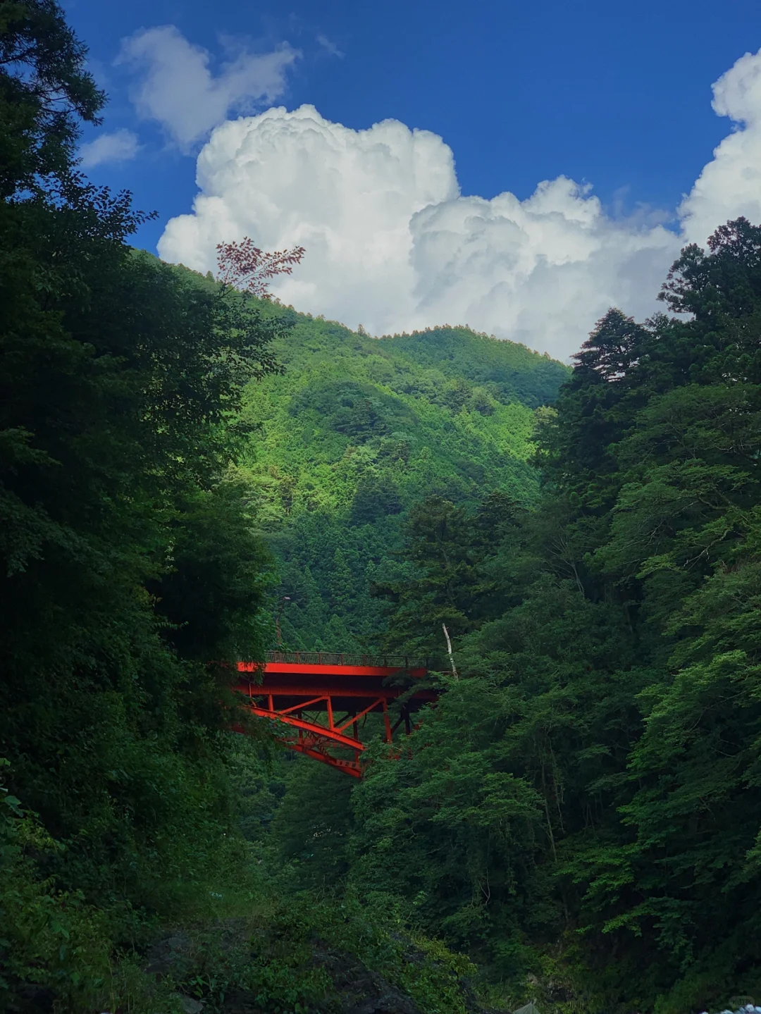 Day Trip Hiking Near Tokyo: Okutama's Hikawa Valley