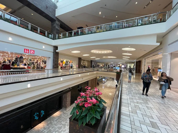 "Washington, DC Shopping Guide"