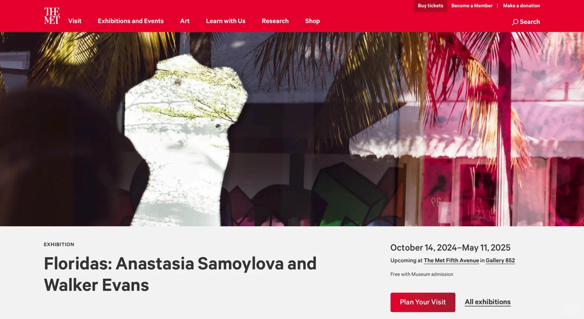 Artist Updates: Anastasia Samoylova in Action