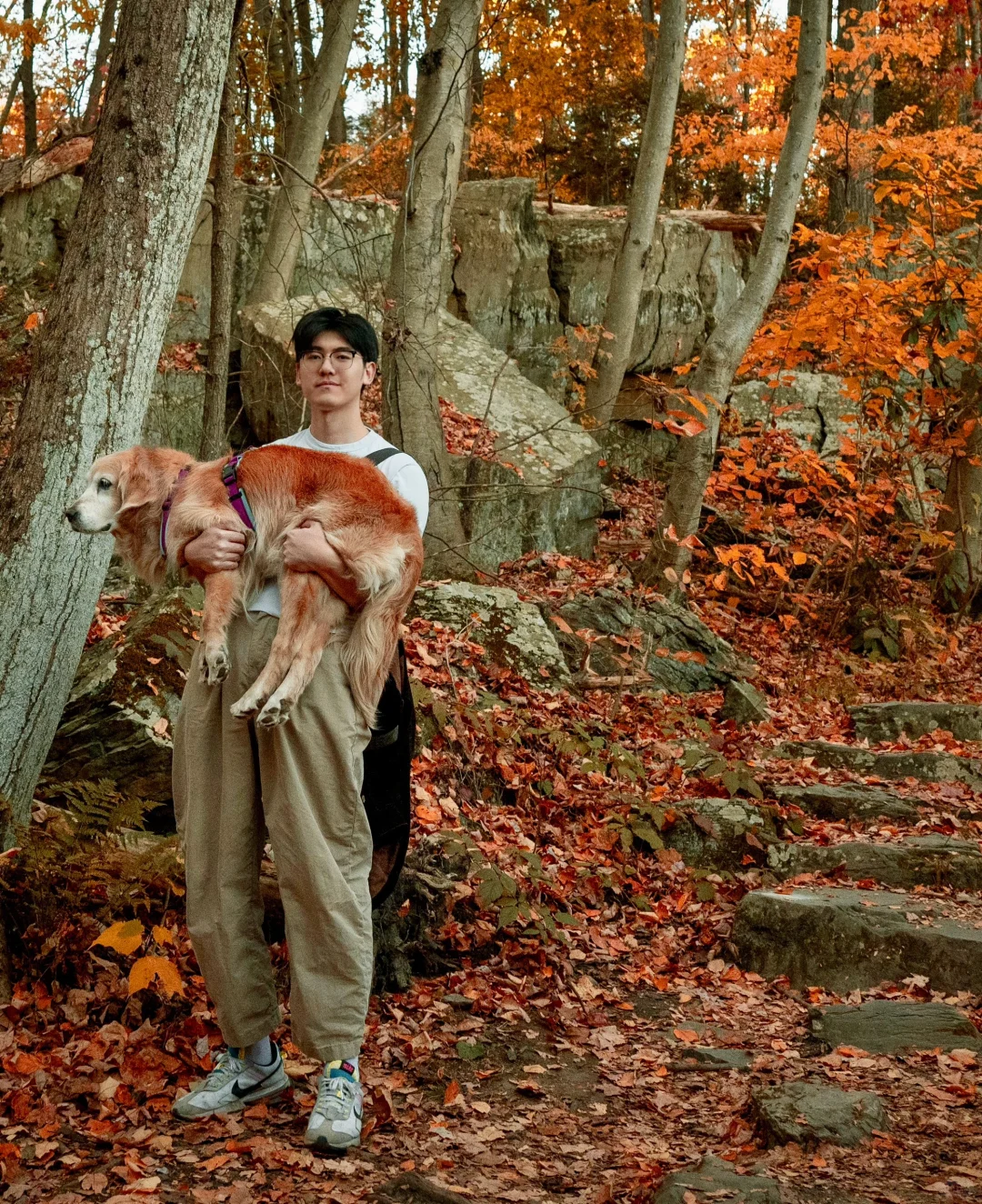 Best Fall Getaways Near Philadelphia: Top Spots for Photos, Hiking & Picnics