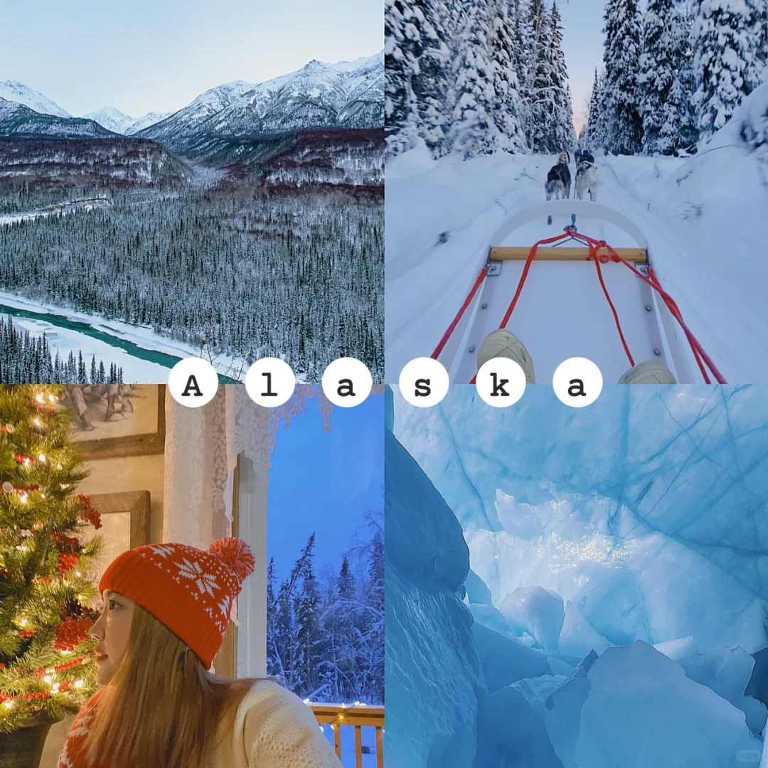 Alaska Adventure | Glacier Hiking and Dog Sledding