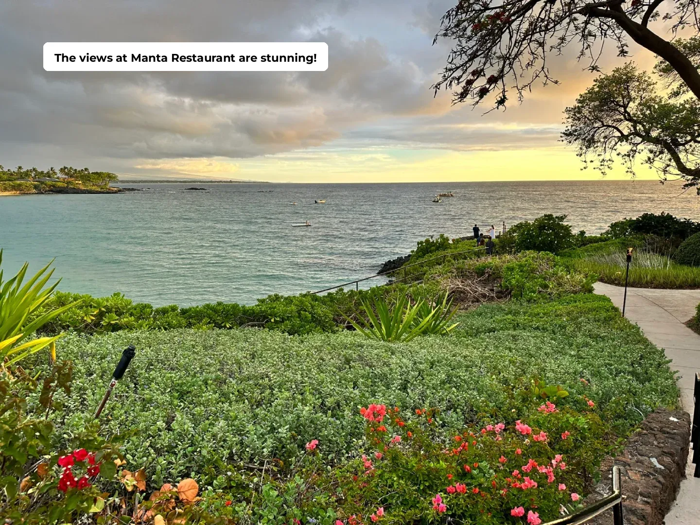 Third Time's the Charm: Must-Try Eats on the Big Island of Hawaii