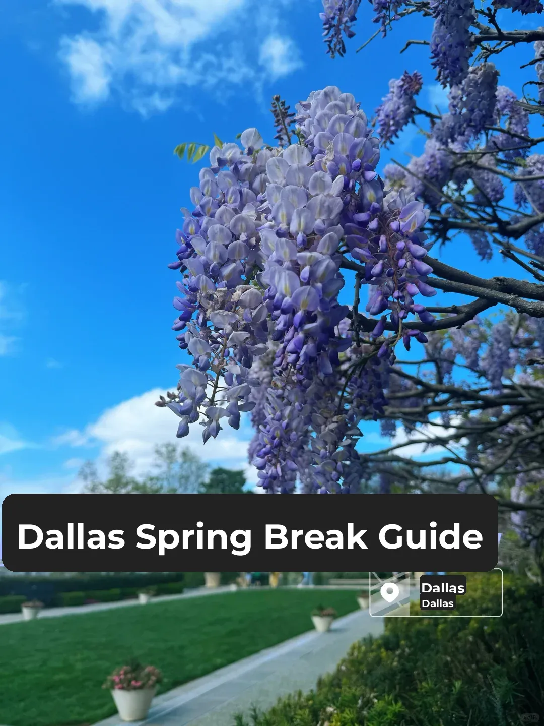 Dallas Spring Break Travel Guide: Never Get Lost 🌸