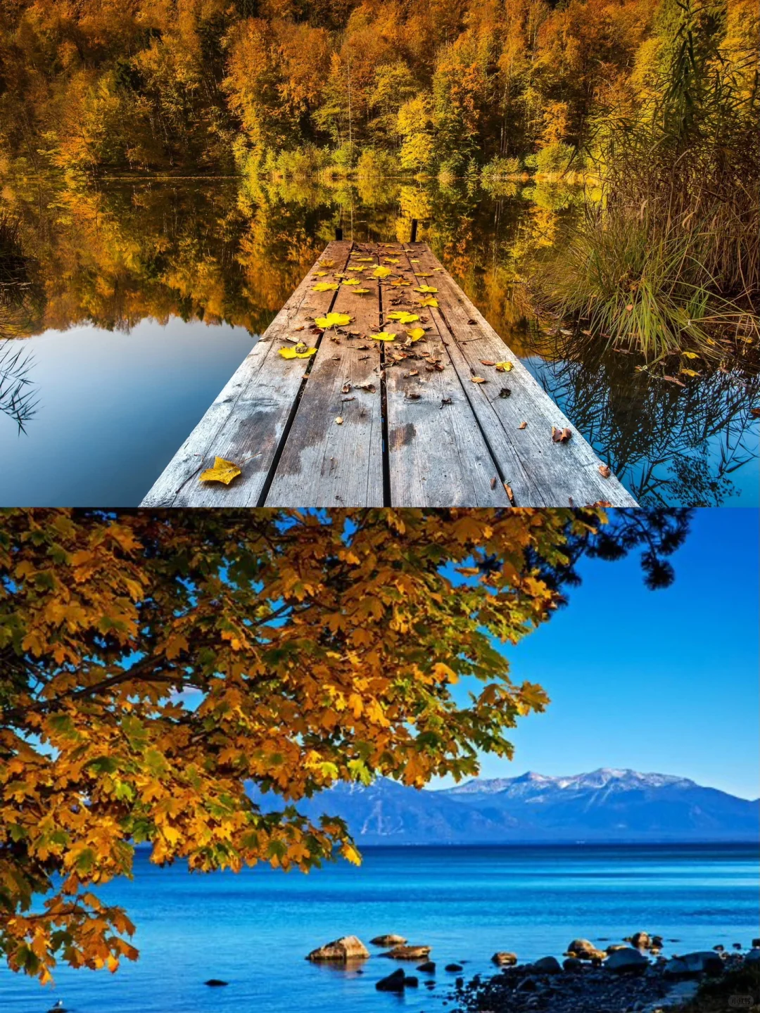 8 Date Ideas for Couples in LA 🍟 Fall Fun Has Hit the Next Level