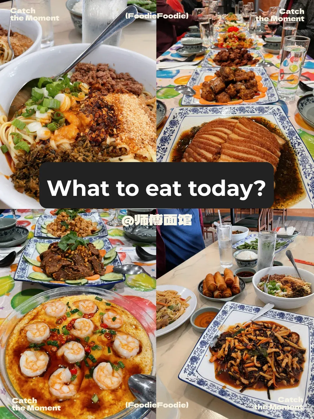 San Antonio | Hidden Gem of Chinese Cuisine | Shifu Noodle House