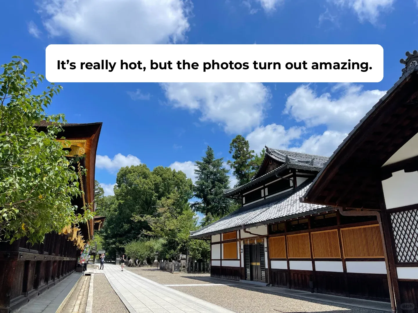 Family Summer Trip to Japan: Kyoto is So Urban! 🧍‍♂️🧍‍♀️
