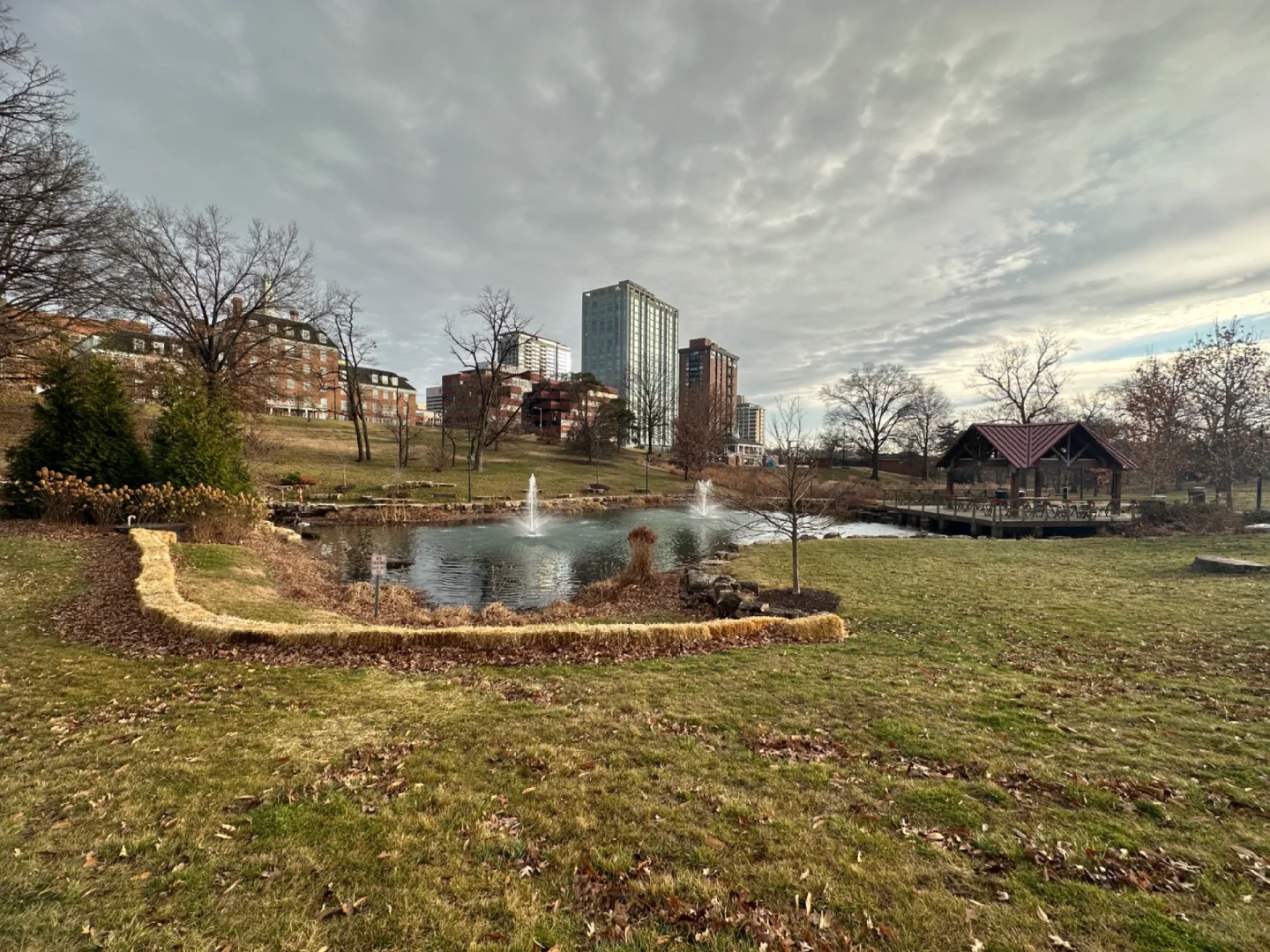 Charm of St. Louis | Shaw Park in Clayton