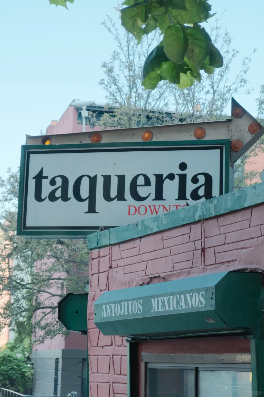 【New York】The Best Tacos in NY & NJ!!