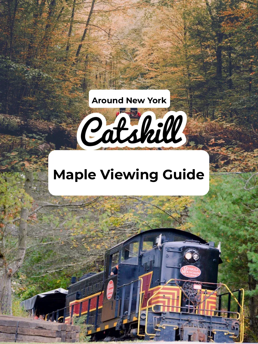 Chasing Fall Colors in Catskill: A Journey to the Stunning Autumn Vistas by the River Valley 🍁