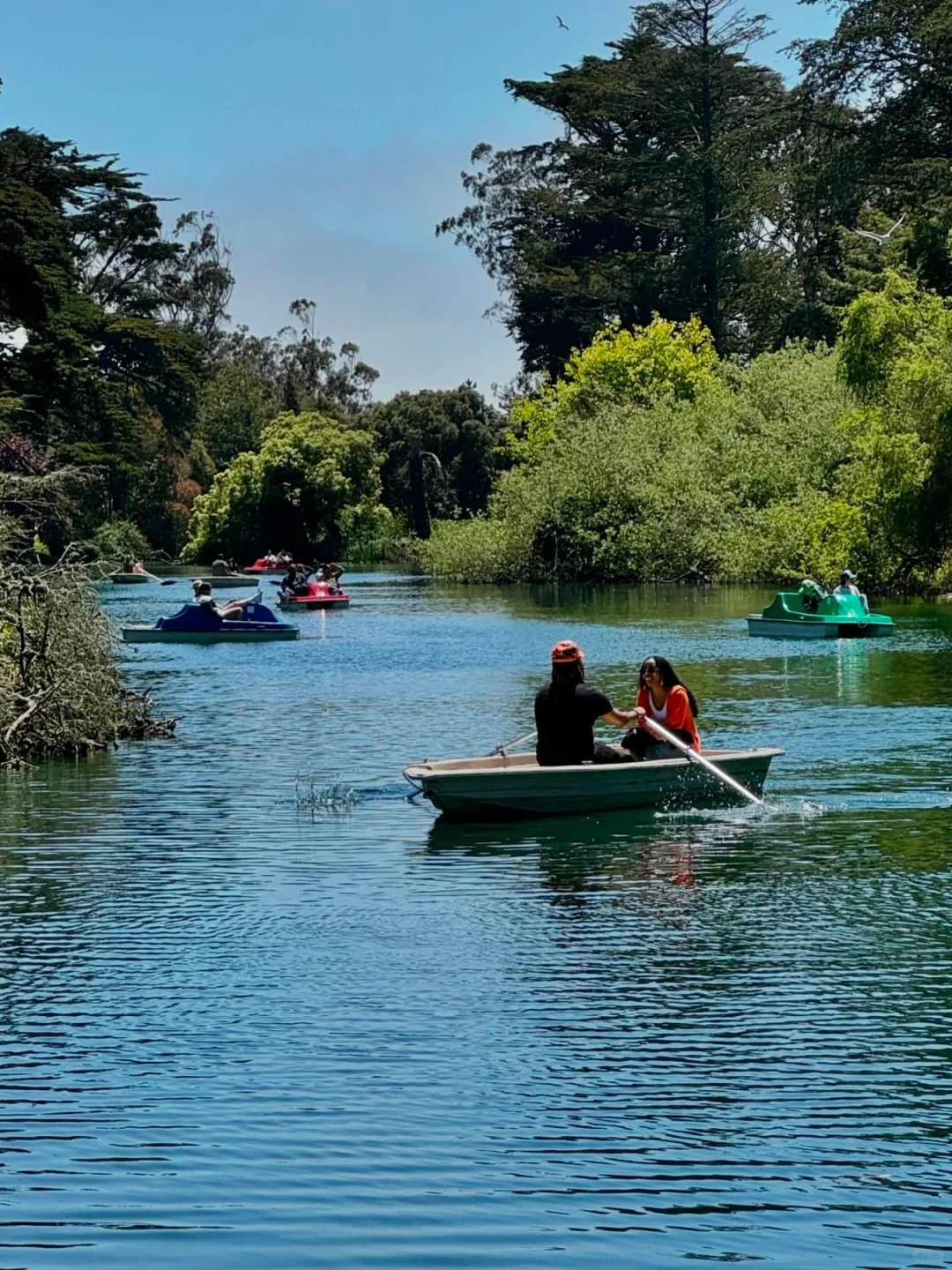 San Francisco | Let’s Wait for a Sunny Day and Go Boating at Golden Gate Park 🚣