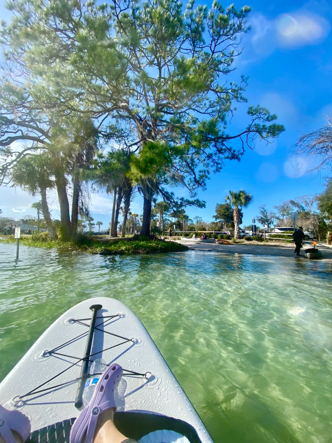 Tampa Free Parks: Manatee Watching, Snorkeling, Kayaking, and White Sand Beaches