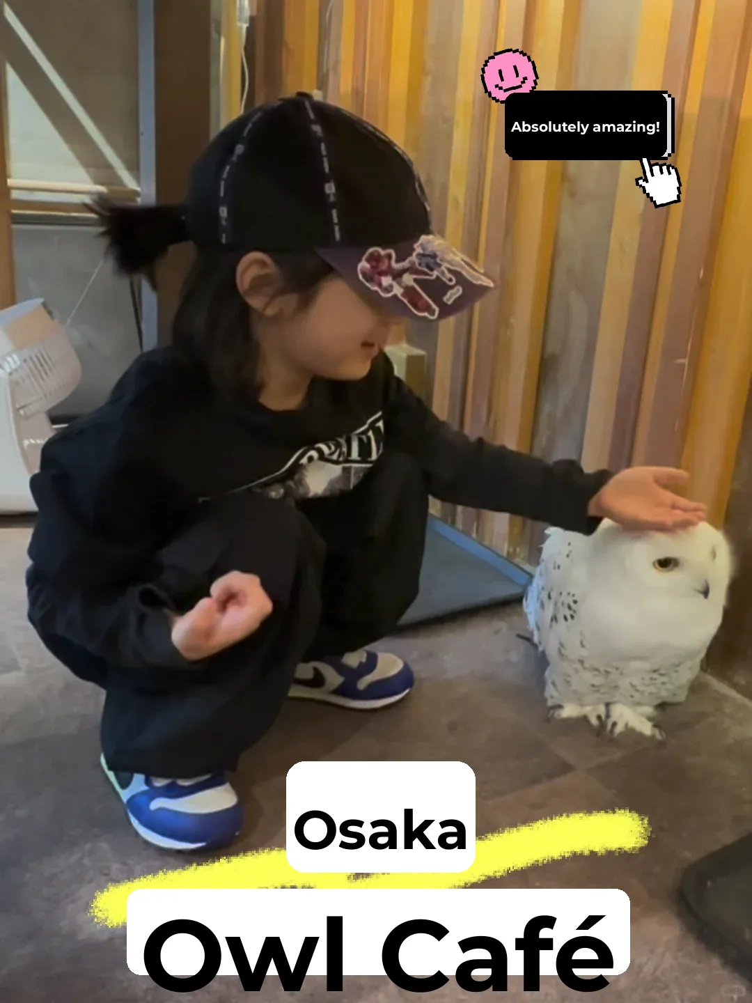 The Must-Visit Spot in Osaka with Kids: #2 - The Owl Cafe